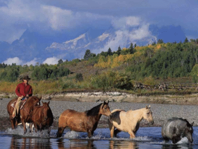 Heart Six Ranch Jackson Hole: Bridger-Teton National Forest Horseback Ride
